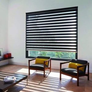 zebra store noir